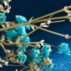 Meet your Posher, Barton